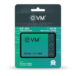 EVM 256GB SATA SSD 5 Year Warranty