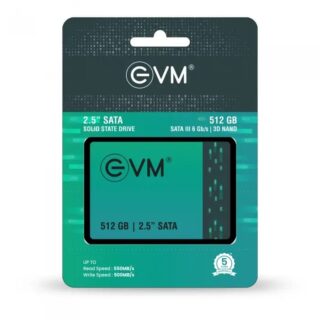 EVM 512GB 2.5 Inch SATA Internal SSD