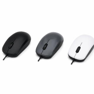 Mouse